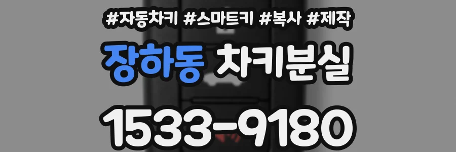 장하동 차키분실