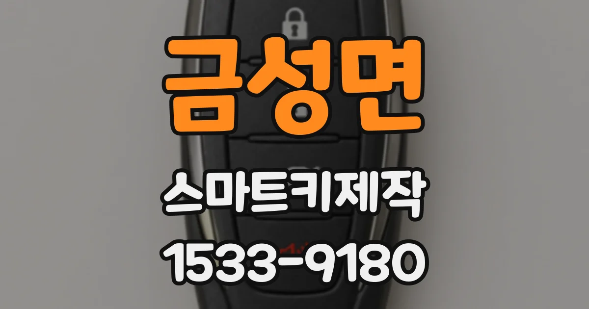 금성면 스마트키제작