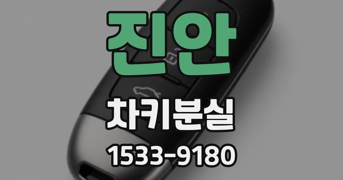 진안 차키분실