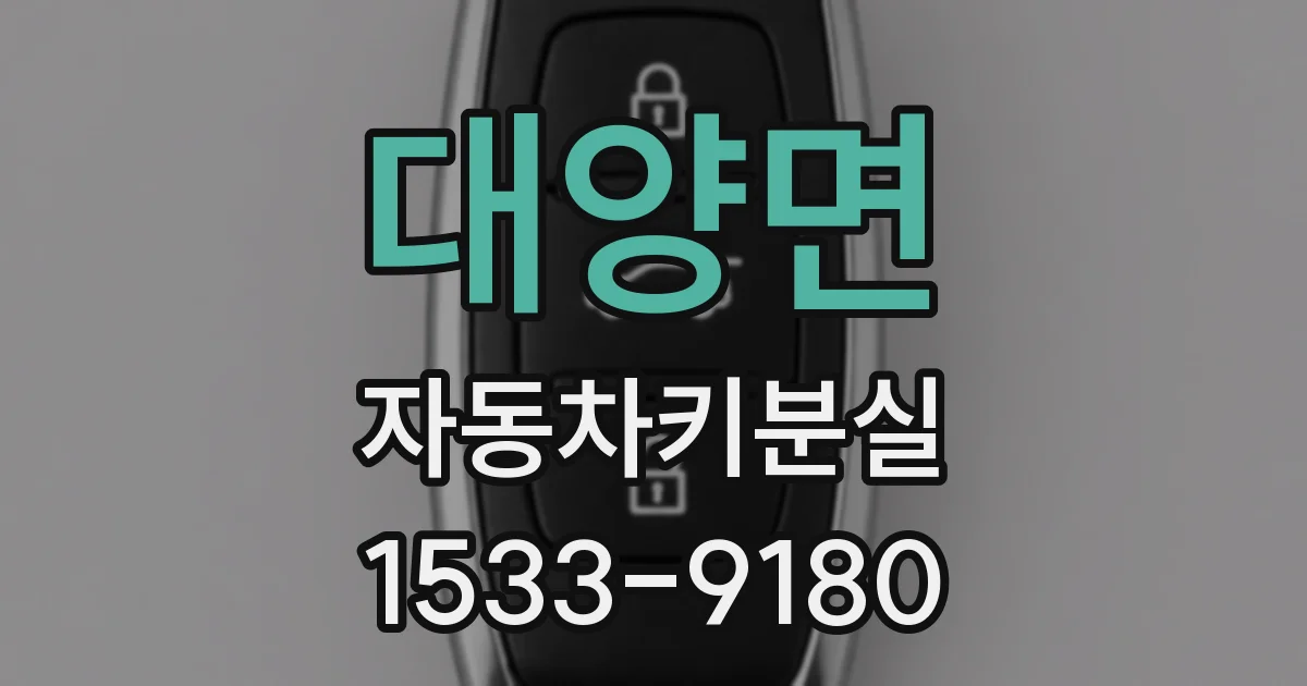 대양면 자동차키분실