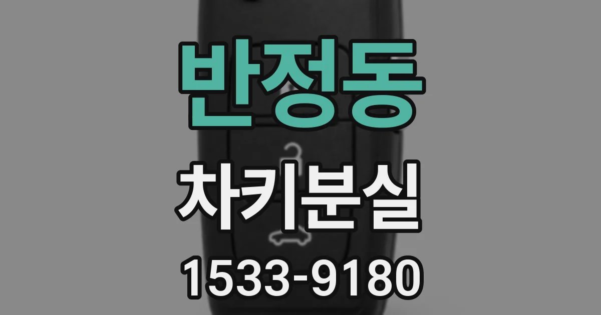 반정동 차키분실