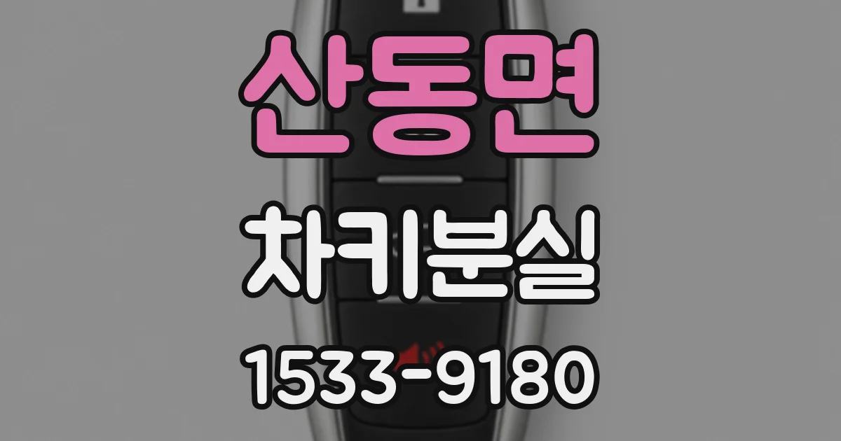 산동면 차키분실