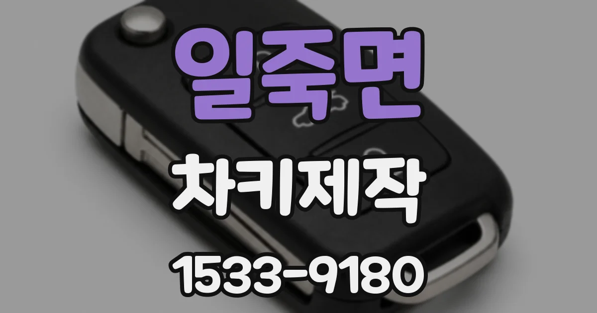 일죽면 차키제작
