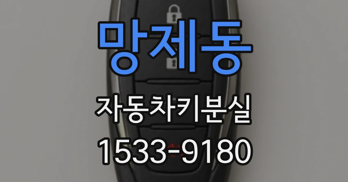 망제동 자동차키분실
