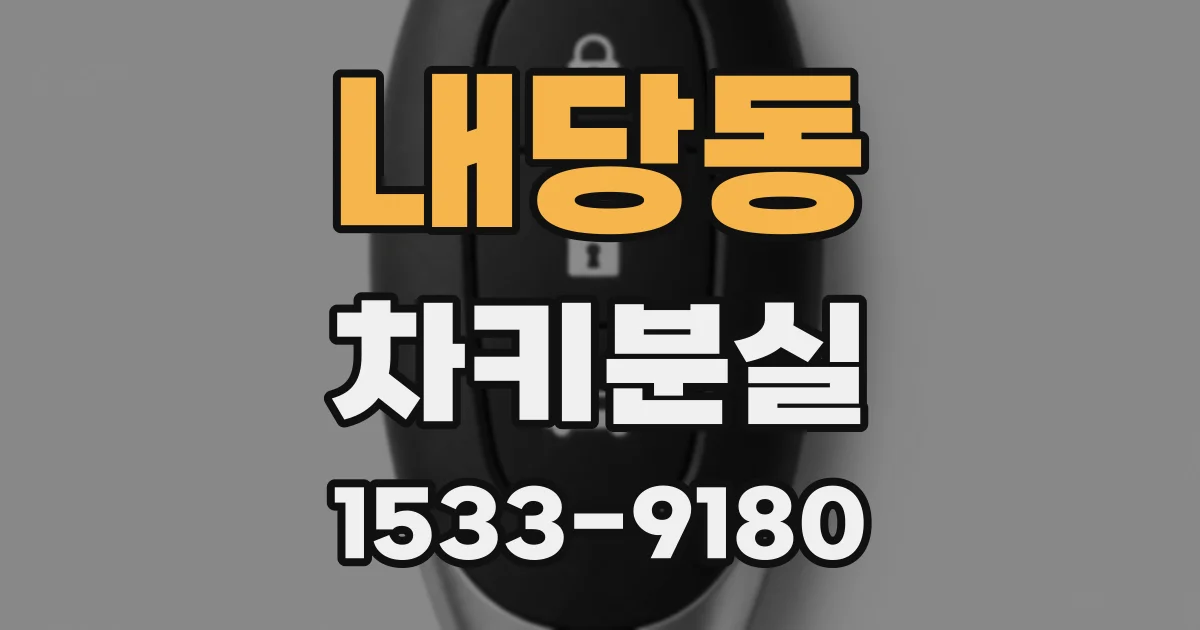 내당동 차키분실