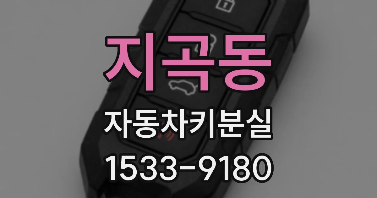 지곡동 자동차키분실