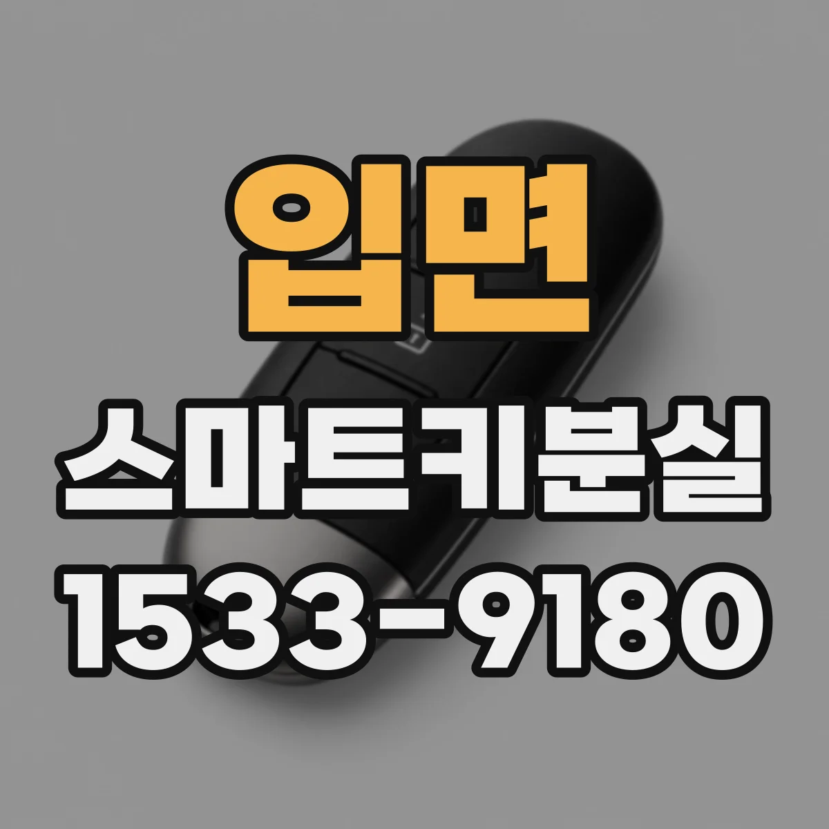입면 스마트키분실