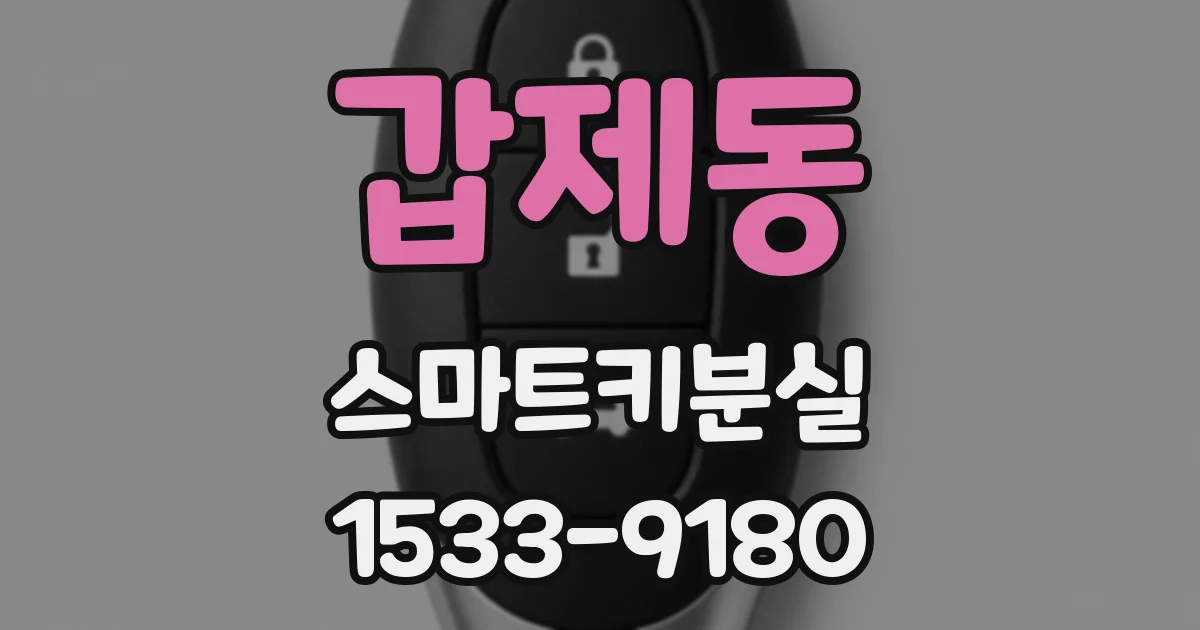 갑제동 스마트키분실