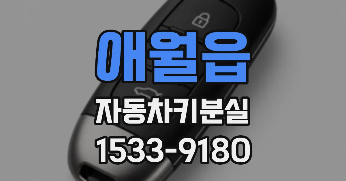 애월읍 자동차키분실