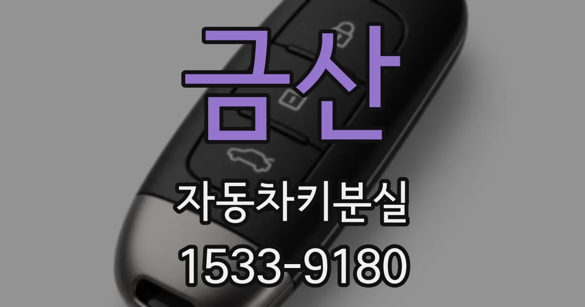 금산 자동차키분실
