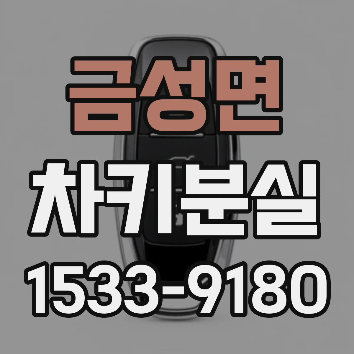 금성면 차키분실