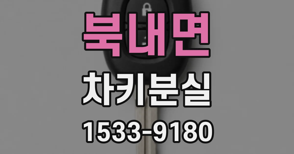 북내면 차키분실