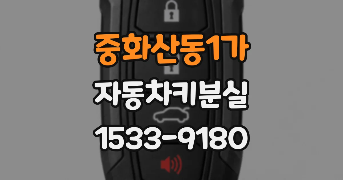 중화산동1가 자동차키분실