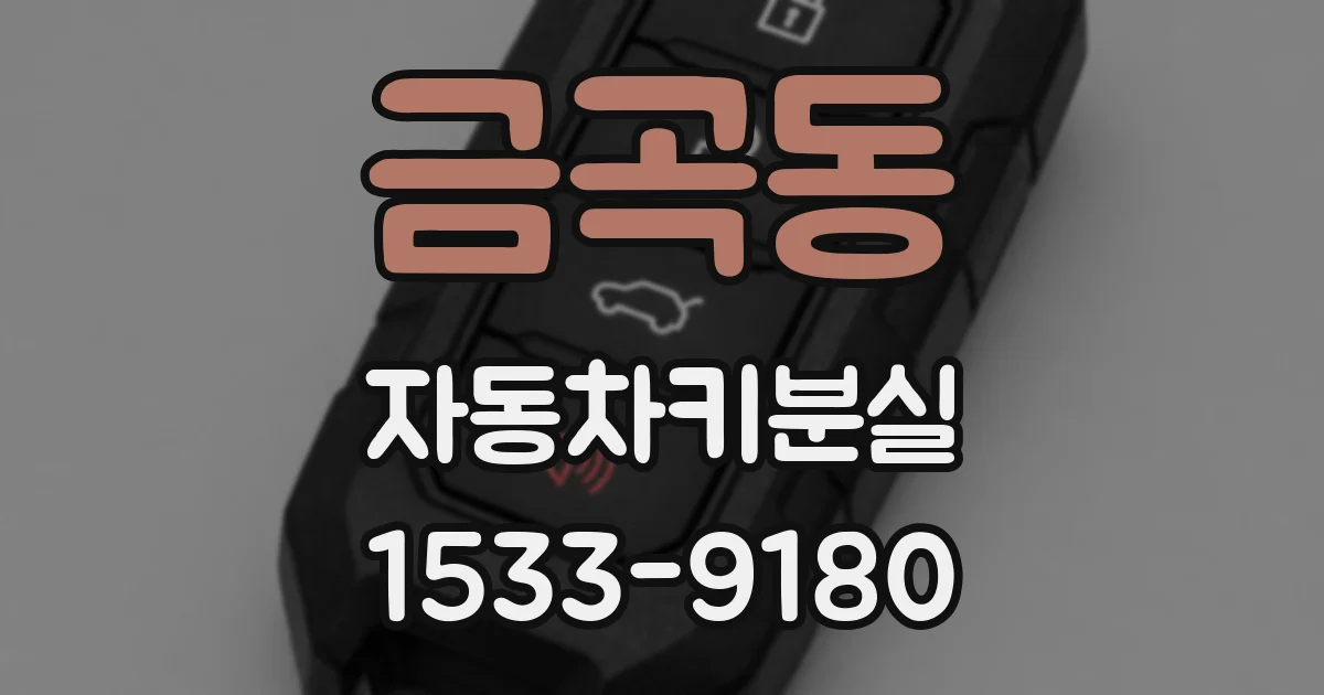 금곡동 자동차키분실