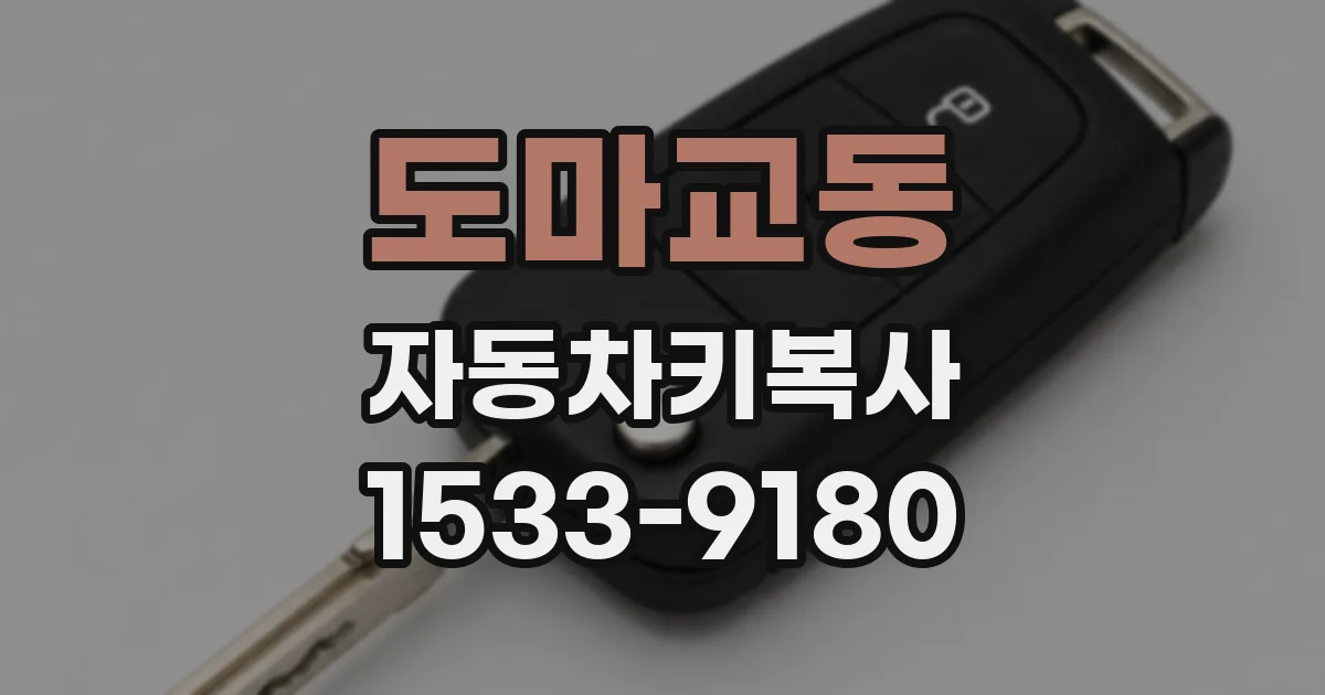 도마교동 자동차키복사