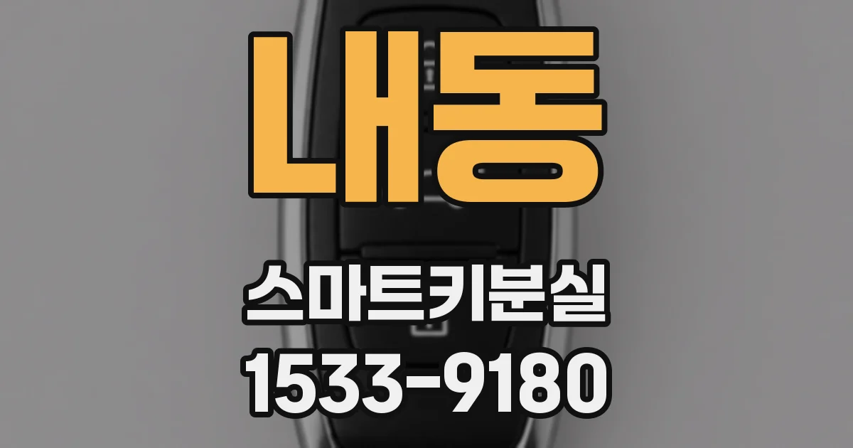 내동 스마트키분실