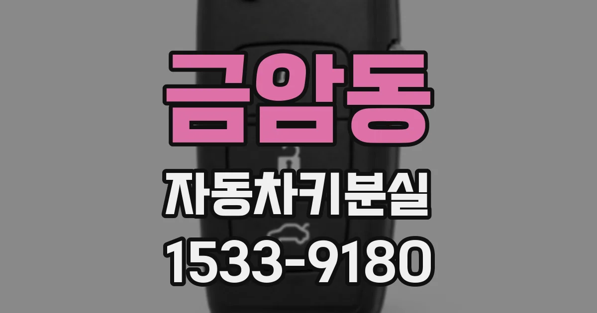 금암동 자동차키분실