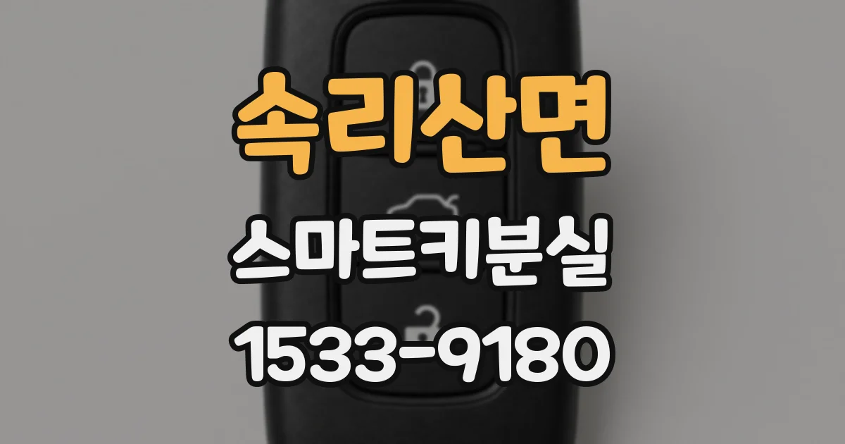 속리산면 스마트키분실