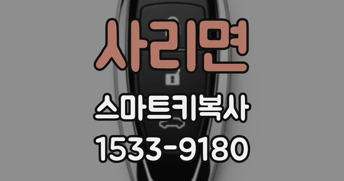 사리면 스마트키복사