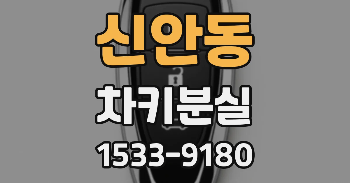 신안동 차키분실