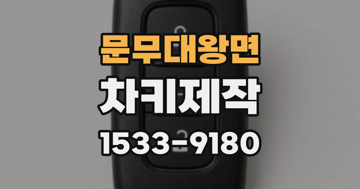 문무대왕면 차키제작