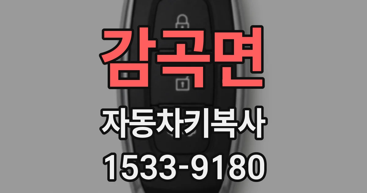 감곡면 자동차키복사
