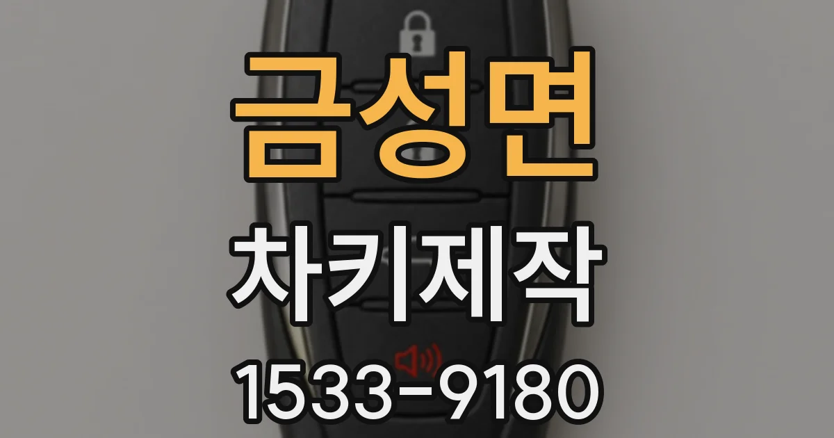 금성면 차키제작