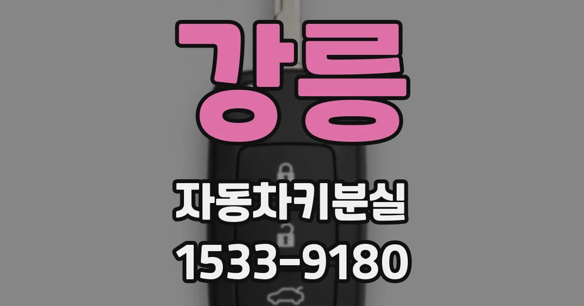 강릉 자동차키분실