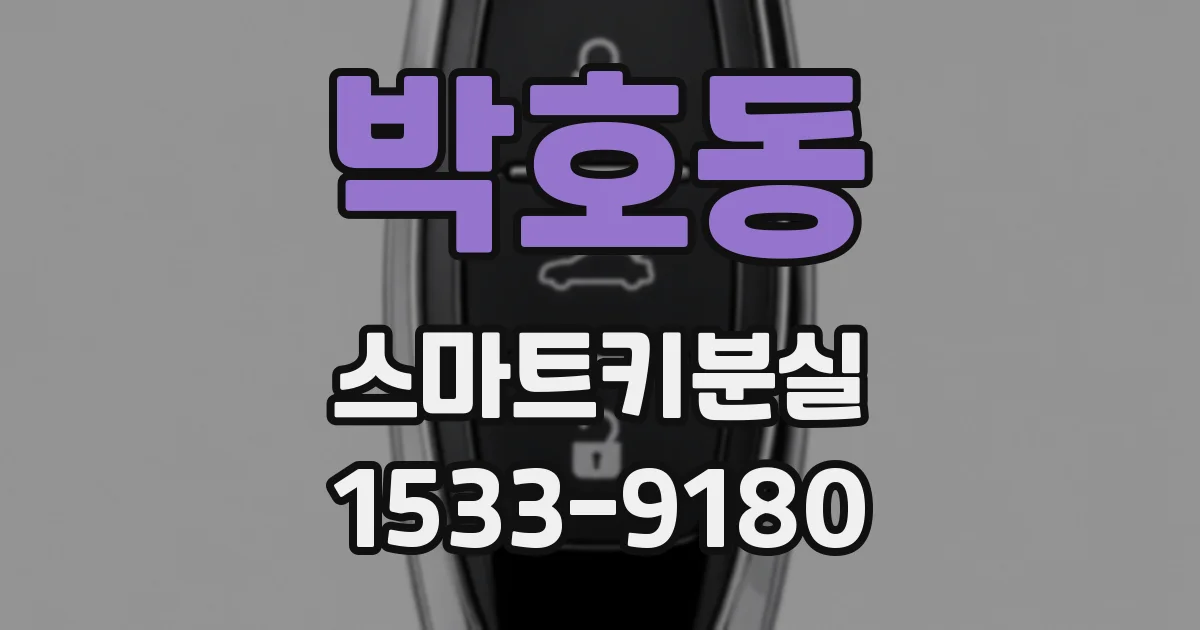 박호동 스마트키분실