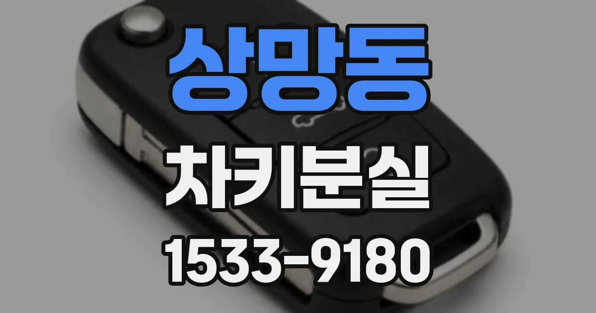 상망동 차키분실