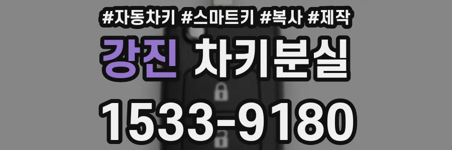 강진 차키분실