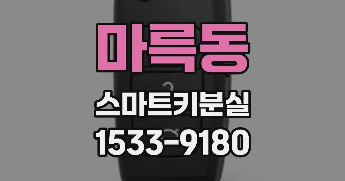 마륵동 스마트키분실