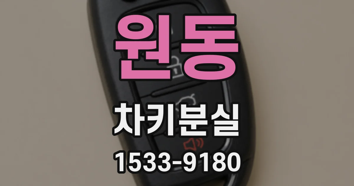 원동 차키분실