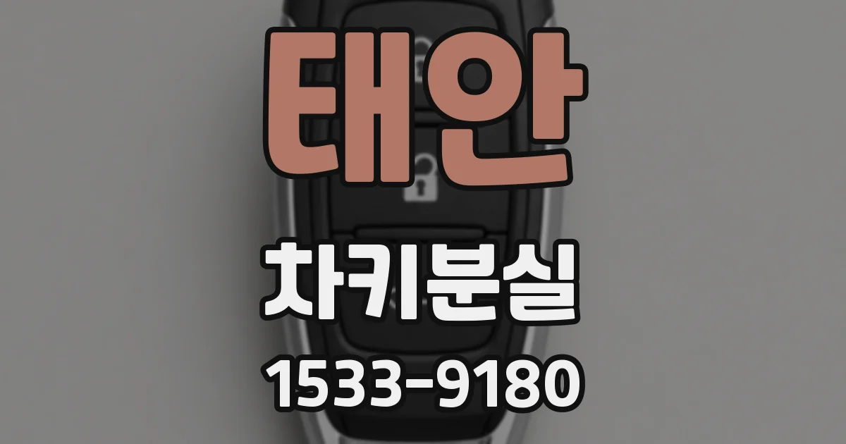 태안 차키분실