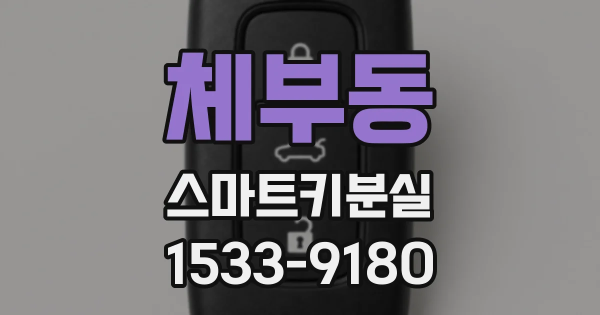 체부동 스마트키분실