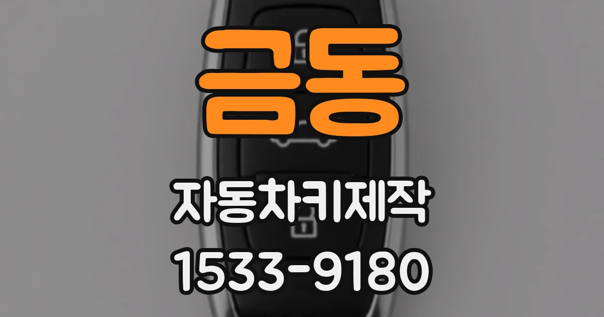 금동 자동차키제작