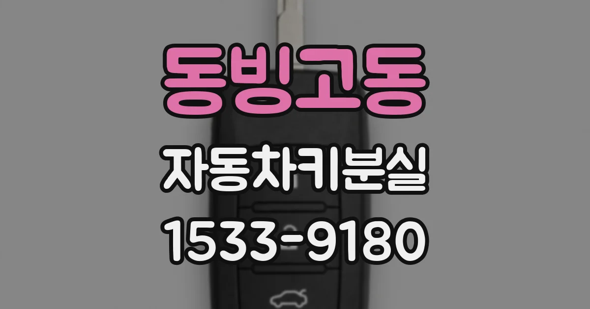 동빙고동 자동차키분실