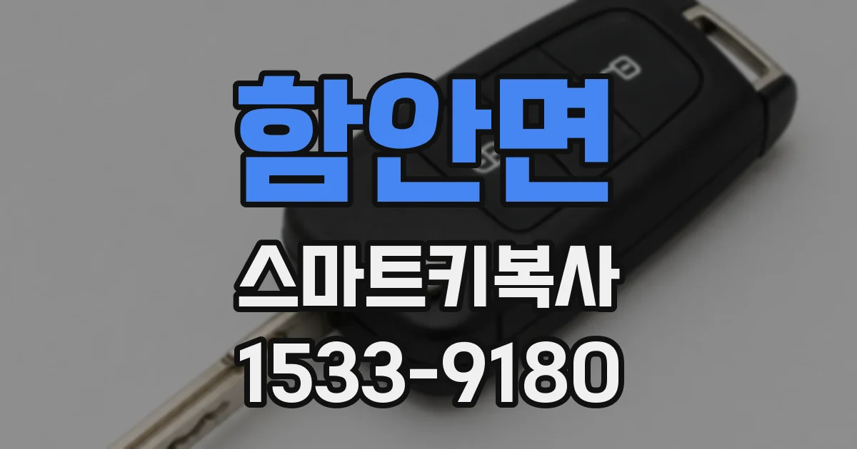함안면 스마트키복사