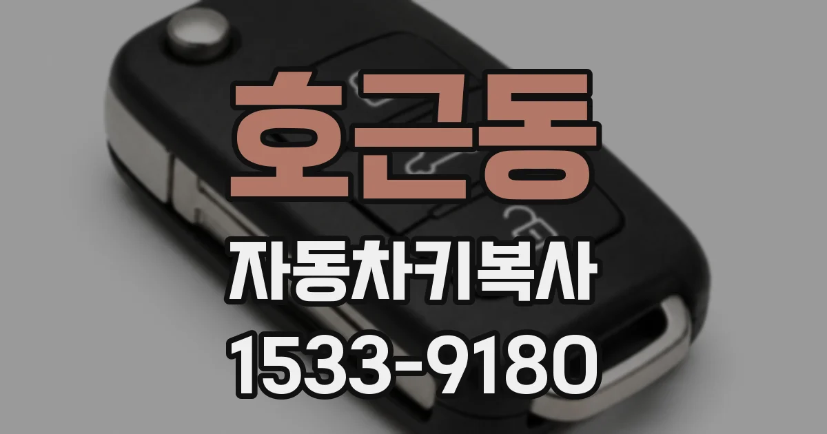 호근동 자동차키복사