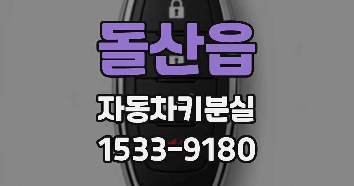 돌산읍 자동차키분실