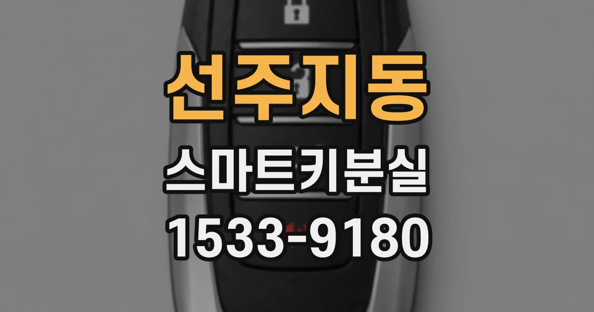 선주지동 스마트키분실