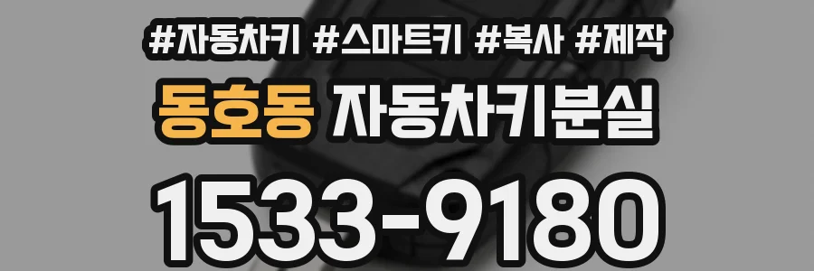 동호동 자동차키분실