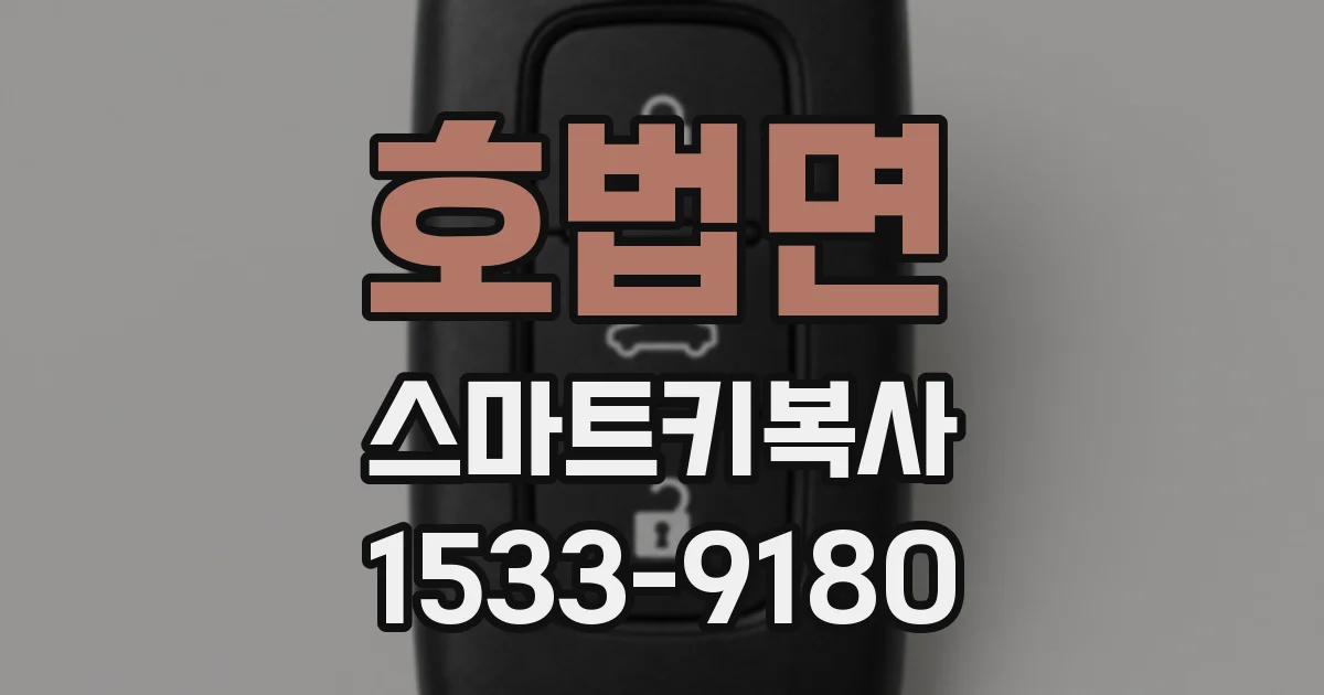 호법면 스마트키복사