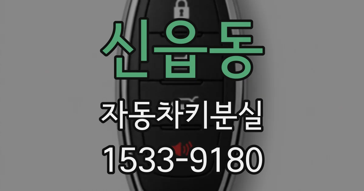 신읍동 자동차키분실
