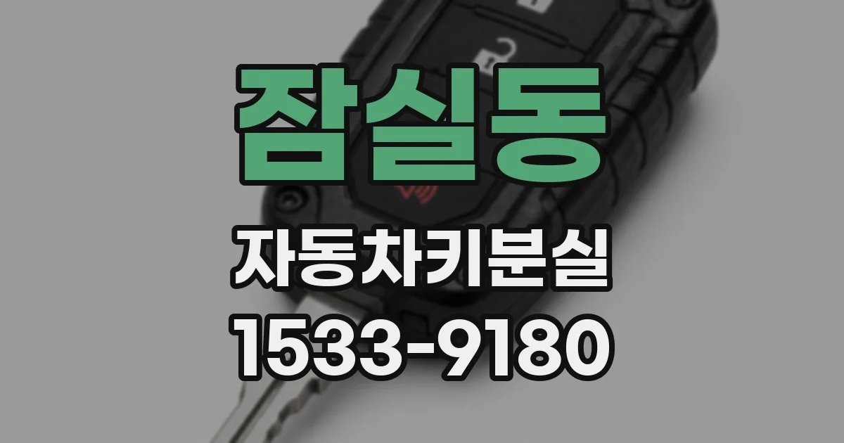 잠실동 자동차키분실