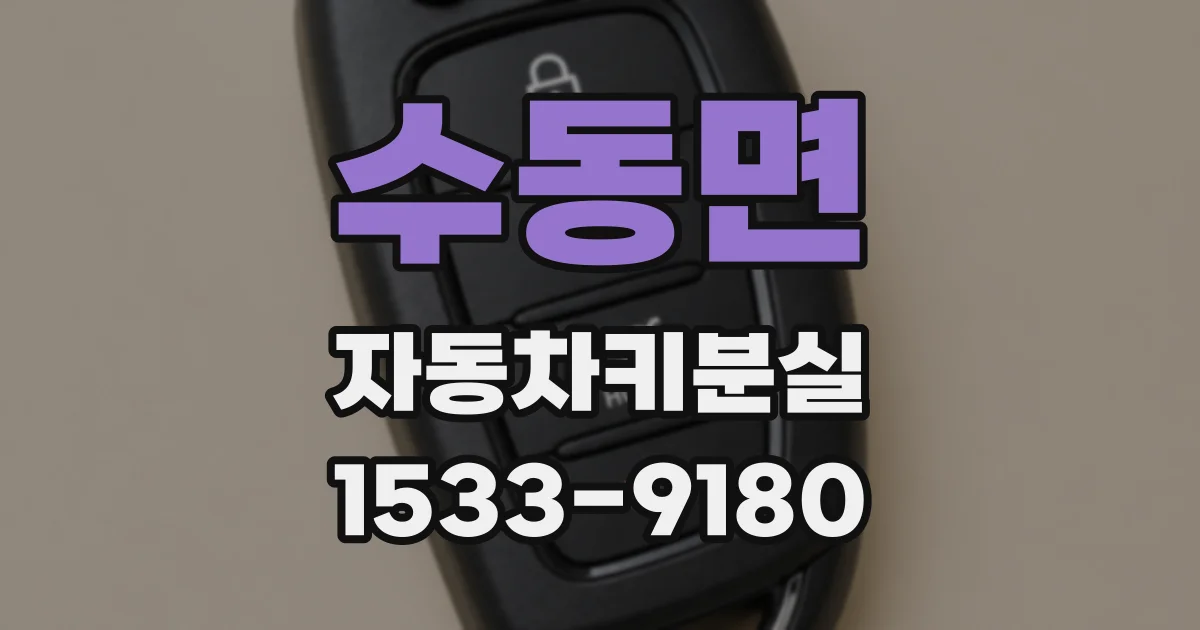 수동면 자동차키분실