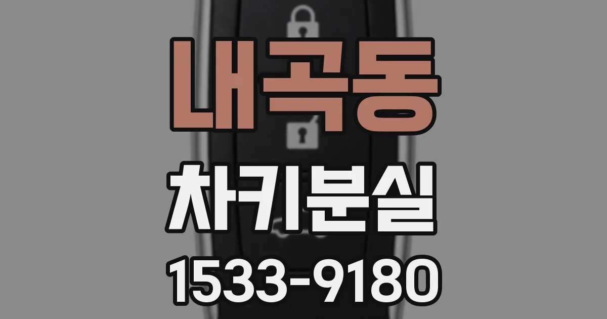 내곡동 차키분실