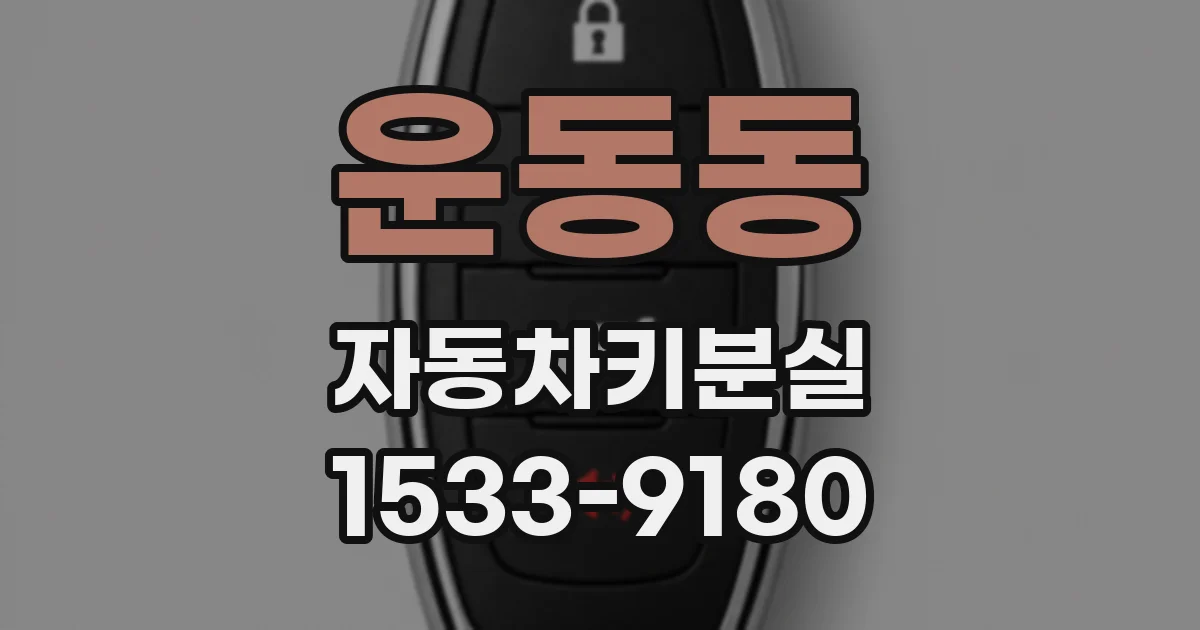 운동동 자동차키분실