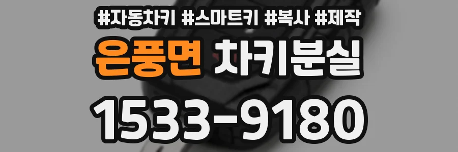 은풍면 차키분실