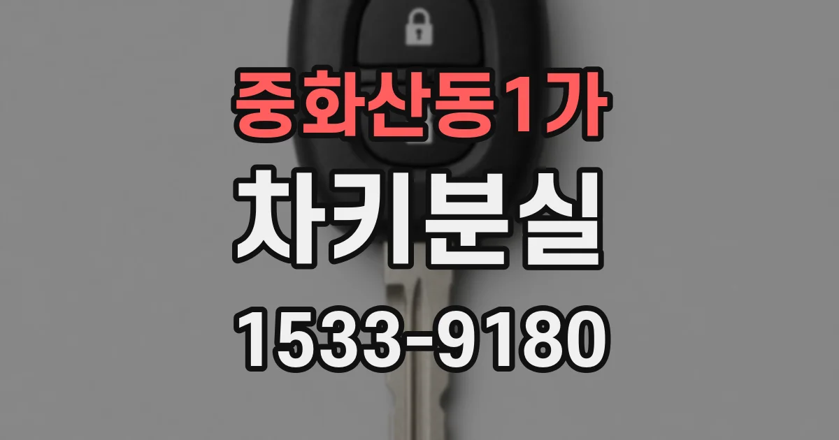 중화산동1가 차키분실